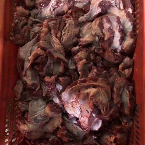 连肝肉批发与格山批发 惠州及周边地区的高效肉类配送服务