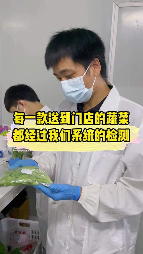 干调粮油配送 铸就品质与效率的安心之选