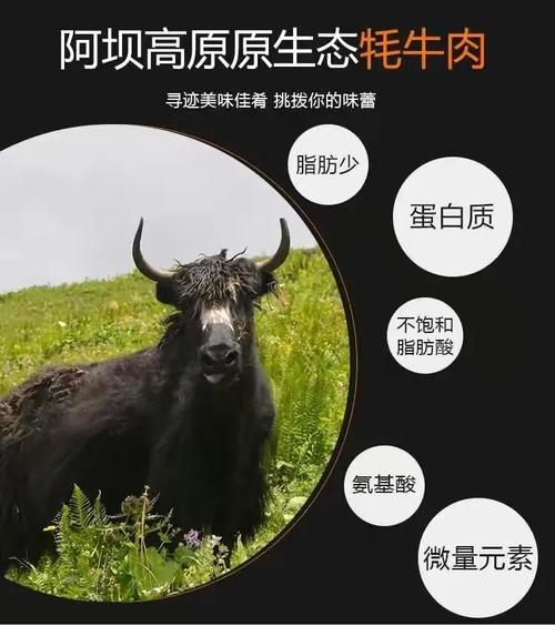正宗新鲜红原牦牛肉，当天宰杀当天配送，品质与新鲜兼得