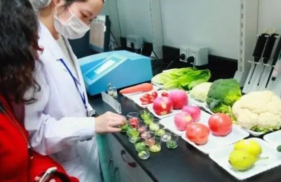 虎门企业餐饮新选择 饭堂承包与食材配送一站式服务