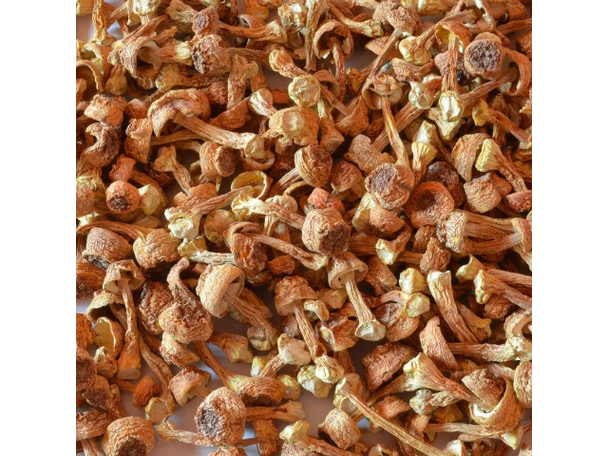 搜了网为您找到260条蔬菜肉类配送的相关产品参数信息
